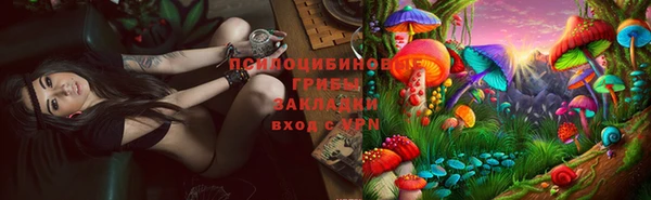 шишки Новодвинск
