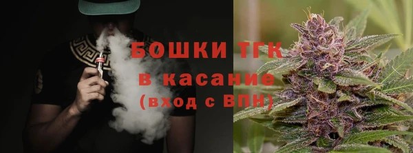 сатива Новокубанск