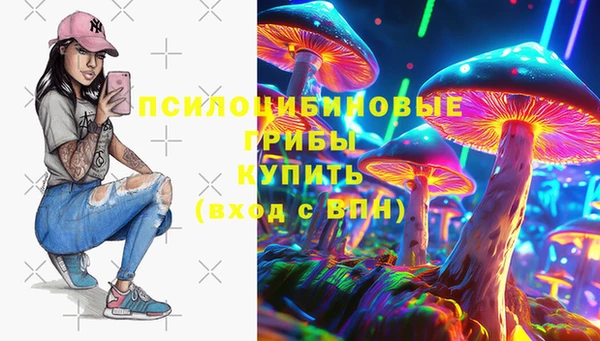 шишки Новодвинск