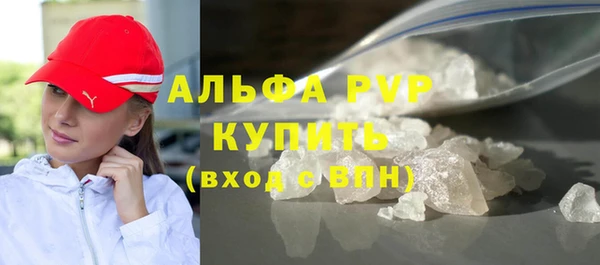 шишки Новодвинск