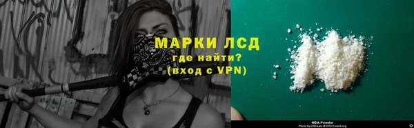 сатива Новокубанск