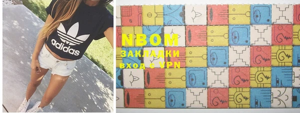 шишки Новодвинск