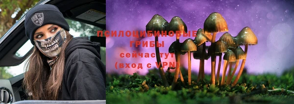 соль курить ск Ветлуга