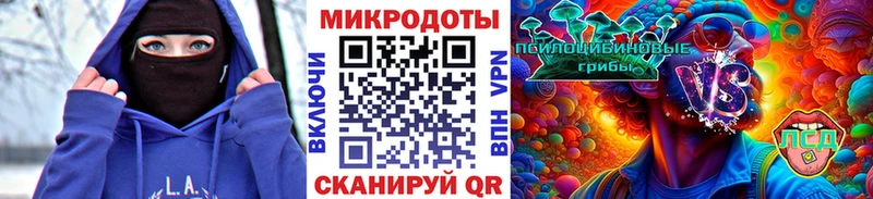 Псилоцибиновые грибы Psilocybe  omg сайт  Тутаев 